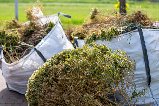Trusted Mirrormont, WA Junk Removal Experts